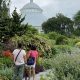 Visit the Bronx Zoo to Bronx Botanical Garden: Your Guide | The Ultimate Gardening Guide: Grow a Thriving Garden Year-Round