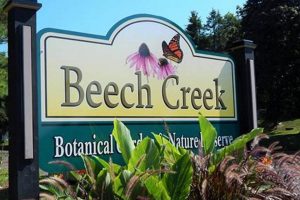 Buy Beech Creek Tickets: Botanical Garden & Preserve Access The Ultimate Gardening Guide: Grow a Thriving Garden Year-Round Buy Beech Creek Tickets: Botanical Garden & Preserve Access | The Ultimate Gardening Guide: Grow a Thriving Garden Year-Round