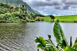 Visiting Hoomaluhia: How Long Does it Take? Garden Guide | The Ultimate Gardening Guide: Grow a Thriving Garden Year-Round