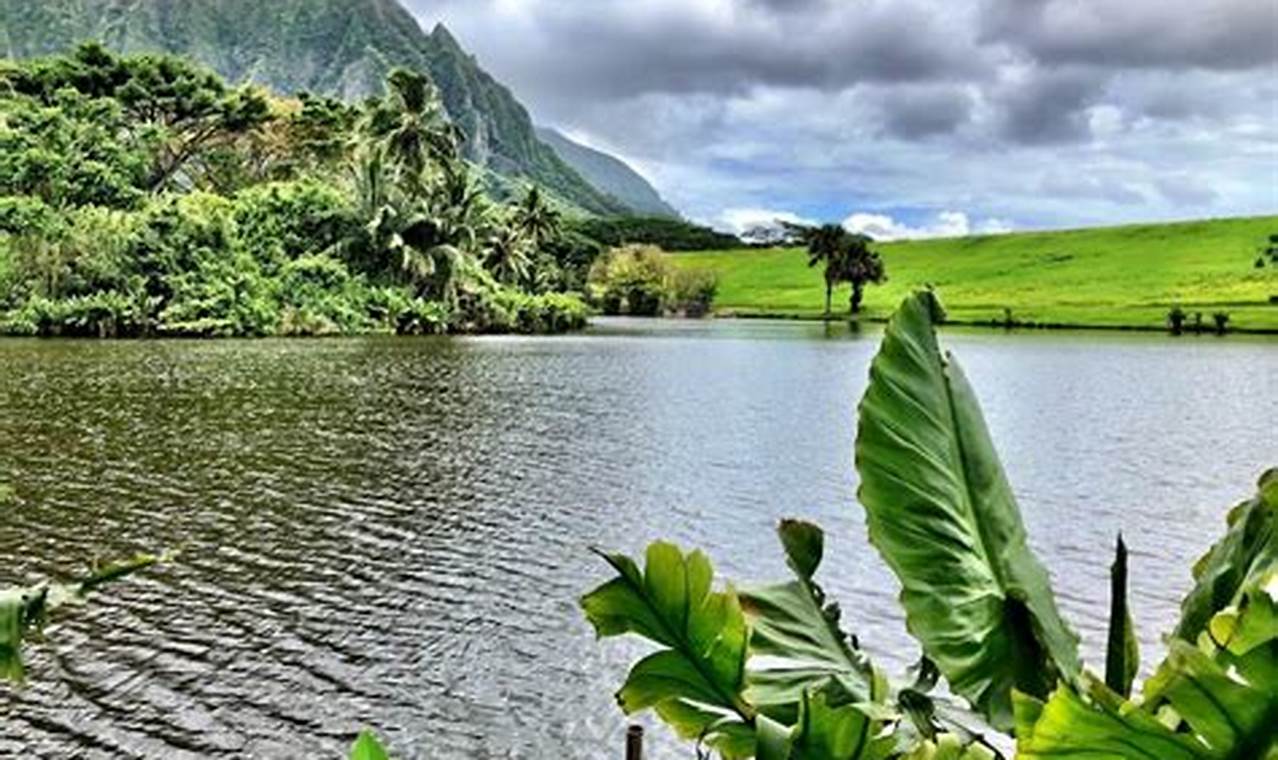 Visiting Hoomaluhia: How Long Does it Take? Garden Guide The Ultimate Gardening Guide: Grow a Thriving Garden Year-Round Visiting Hoomaluhia: How Long Does it Take? Garden Guide | The Ultimate Gardening Guide: Grow a Thriving Garden Year-Round