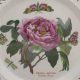 Buy Authentic Portmeirion Botanic Garden Plates - Collectible | The Ultimate Gardening Guide: Grow a Thriving Garden Year-Round