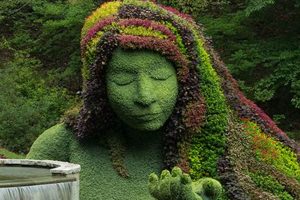 Unlock Savings: Atlanta Botanical Garden Promotional Code Deals! | The Ultimate Gardening Guide: Grow a Thriving Garden Year-Round