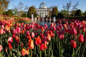 Botanical Escape: Hotels Near Lewis Ginter Garden | The Ultimate Gardening Guide: Grow a Thriving Garden Year-Round