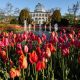 Botanical Escape: Hotels Near Lewis Ginter Garden | The Ultimate Gardening Guide: Grow a Thriving Garden Year-Round