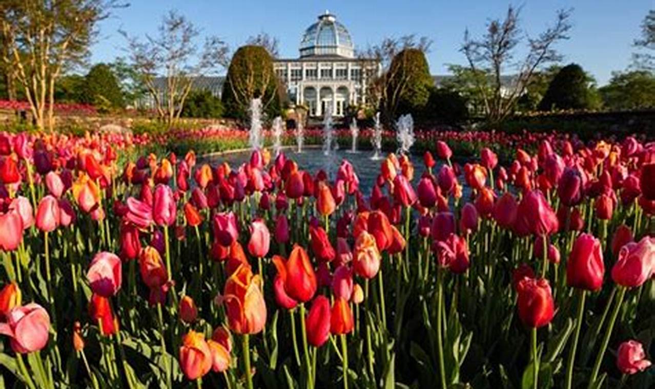 Botanical Escape: Hotels Near Lewis Ginter Garden | The Ultimate Gardening Guide: Grow a Thriving Garden Year-Round