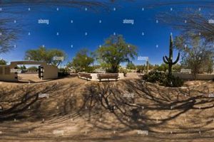 Visit Brinton: A Desert Botanical Garden Oasis | The Ultimate Gardening Guide: Grow a Thriving Garden Year-Round