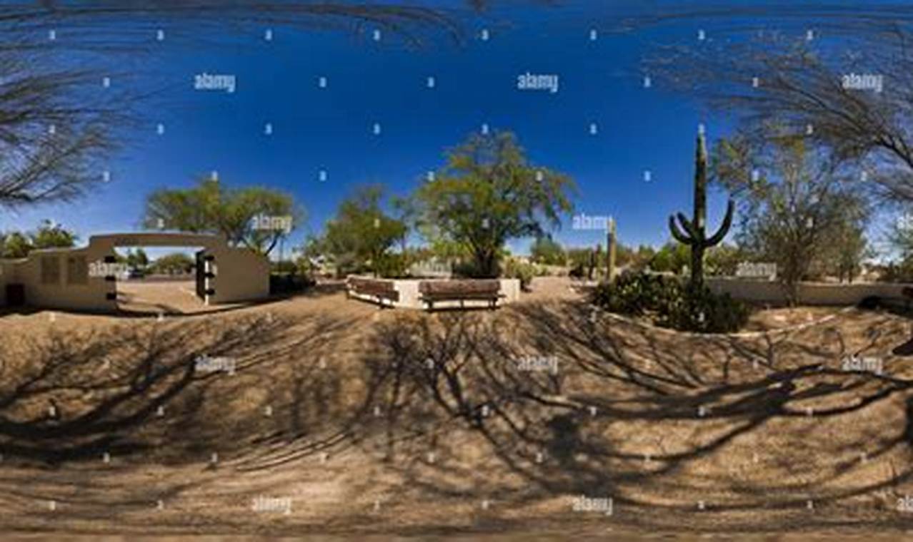 Visit Brinton: A Desert Botanical Garden Oasis | The Ultimate Gardening Guide: Grow a Thriving Garden Year-Round