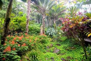 Discover The Best Botanical Garden on Big Island, HI +Tips | The Ultimate Gardening Guide: Grow a Thriving Garden Year-Round