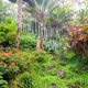 Discover The Best Botanical Garden on Big Island, HI +Tips | The Ultimate Gardening Guide: Grow a Thriving Garden Year-Round