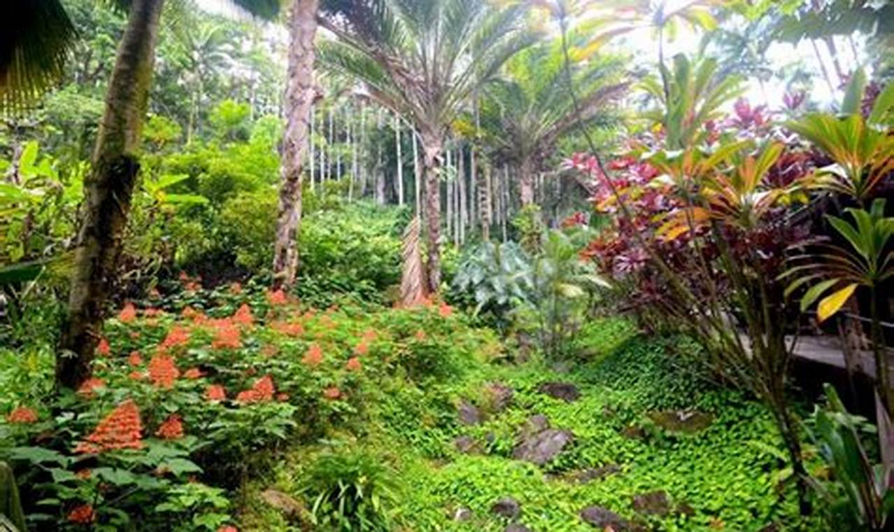 Discover The Best Botanical Garden on Big Island, HI +Tips | The Ultimate Gardening Guide: Grow a Thriving Garden Year-Round