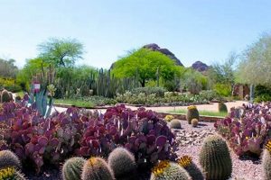 Careers Bloom: Desert Botanical Garden Jobs Open | The Ultimate Gardening Guide: Grow a Thriving Garden Year-Round
