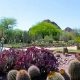 Careers Bloom: Desert Botanical Garden Jobs Open | The Ultimate Gardening Guide: Grow a Thriving Garden Year-Round