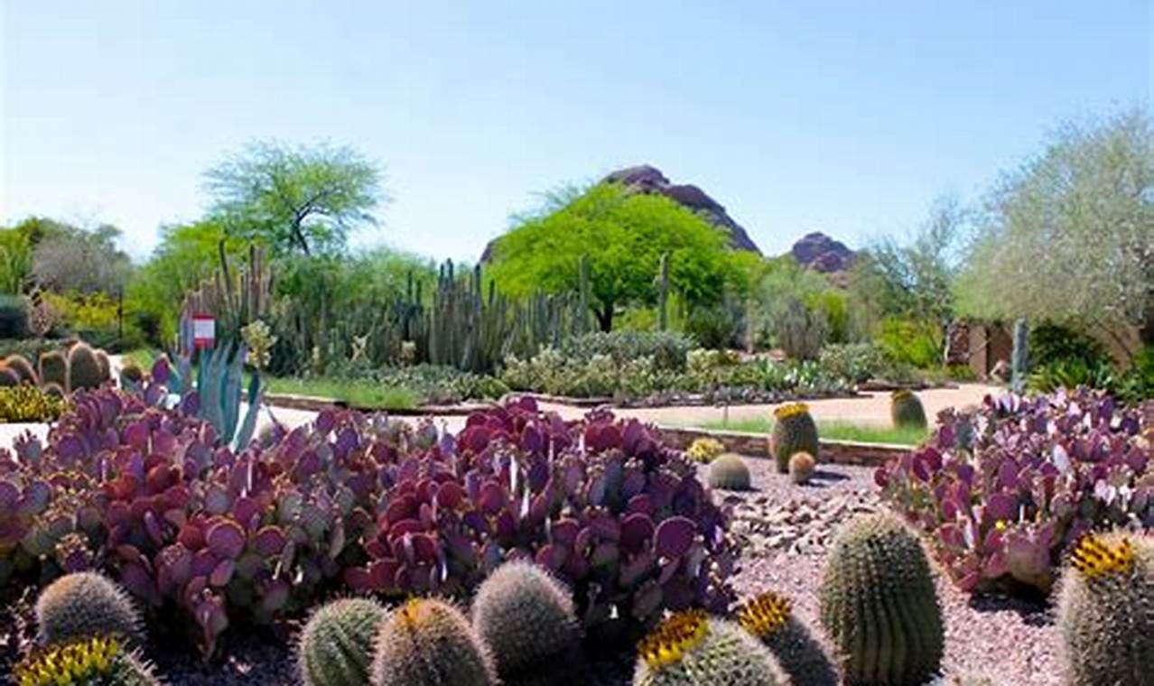 Careers Bloom: Desert Botanical Garden Jobs Open The Ultimate Gardening Guide: Grow a Thriving Garden Year-Round Careers Bloom: Desert Botanical Garden Jobs Open | The Ultimate Gardening Guide: Grow a Thriving Garden Year-Round