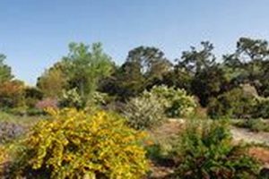 Explore Forrest Deaner Native Plant Botanic Garden Today | The Ultimate Gardening Guide: Grow a Thriving Garden Year-Round