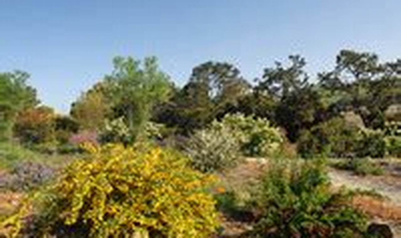 Explore Forrest Deaner Native Plant Botanic Garden Today | The Ultimate Gardening Guide: Grow a Thriving Garden Year-Round