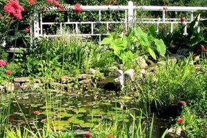 Visit Western Kentucky Botanical Garden Owensboro - A Green Escape! | The Ultimate Gardening Guide: Grow a Thriving Garden Year-Round