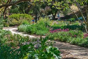 Discover San Luis Obispo Botanical Garden: A Natural Paradise | The Ultimate Gardening Guide: Grow a Thriving Garden Year-Round
