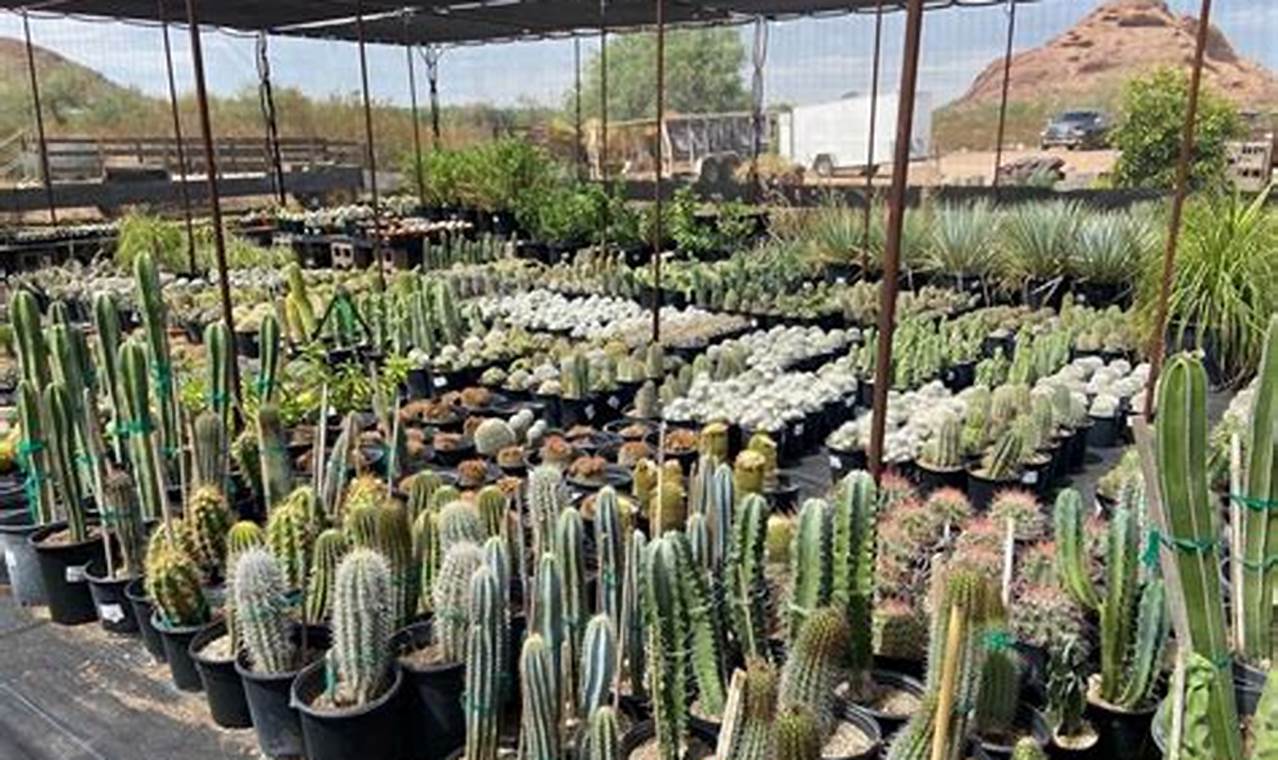Discover Desert Botanical Garden Spring Plant Sale 2024! | The Ultimate Gardening Guide: Grow a Thriving Garden Year-Round