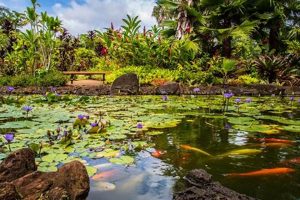 Explore Waimea Botanical Garden: Oasis & More! | The Ultimate Gardening Guide: Grow a Thriving Garden Year-Round