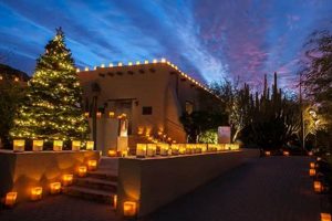Magical Desert Nights: Botanical Garden Luminaries Show | The Ultimate Gardening Guide: Grow a Thriving Garden Year-Round
