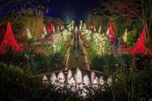 See Holiday Lights at Daniel Stowe Botanical Garden! | The Ultimate Gardening Guide: Grow a Thriving Garden Year-Round