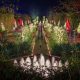 See Holiday Lights at Daniel Stowe Botanical Garden! | The Ultimate Gardening Guide: Grow a Thriving Garden Year-Round