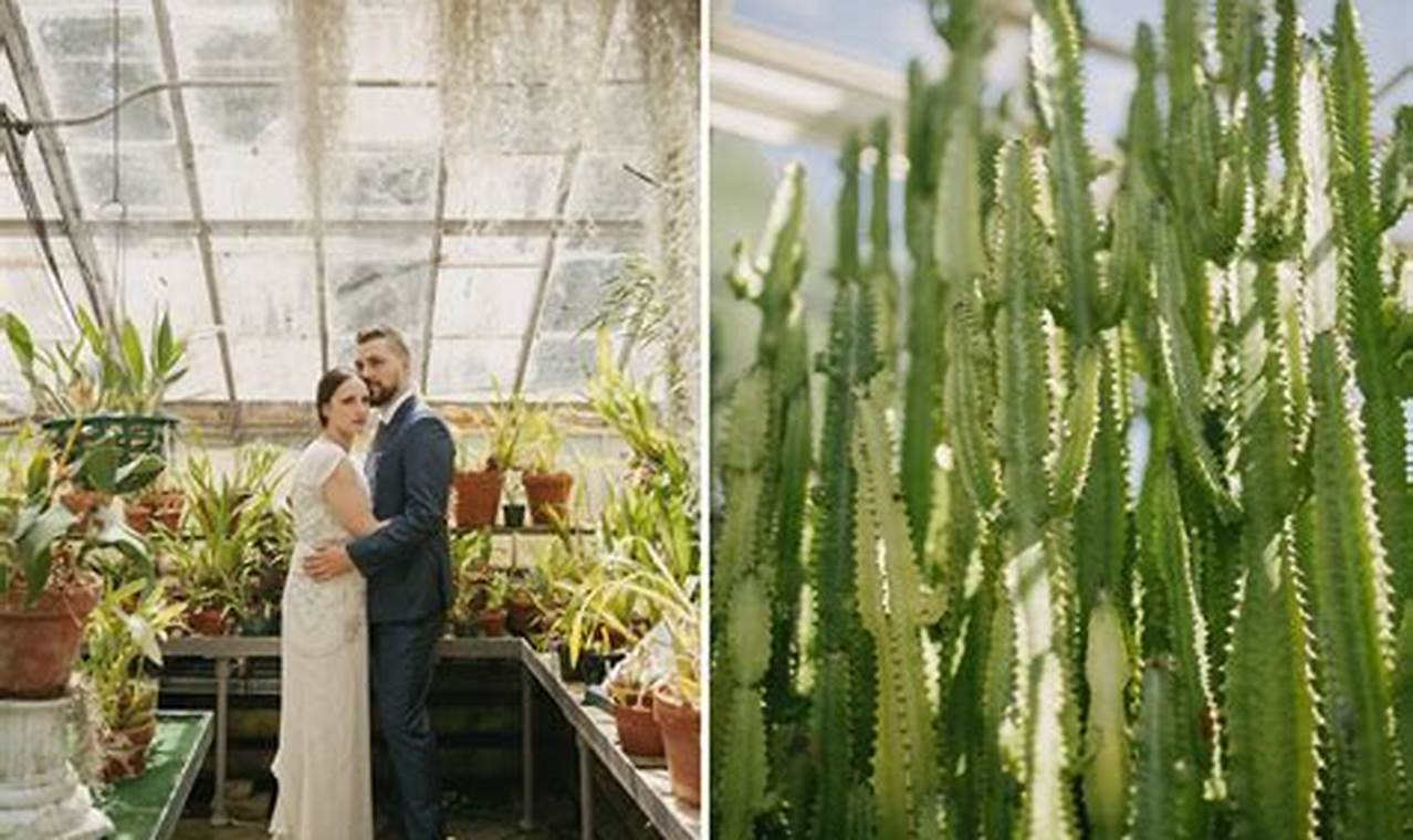 Unveiling Story: Botanical Garden, Sonnenberg & Florida Tech Dreams | The Ultimate Gardening Guide: Grow a Thriving Garden Year-Round