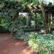 Explore Georgia Southern's Botanic Garden: A Natural Haven | The Ultimate Gardening Guide: Grow a Thriving Garden Year-Round