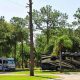 Find Your Winter Garden RV Park Getaway (FL Guide) | The Ultimate Gardening Guide: Grow a Thriving Garden Year-Round