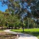 Drive Through Green: Garden Park Drive Living & More | The Ultimate Gardening Guide: Grow a Thriving Garden Year-Round