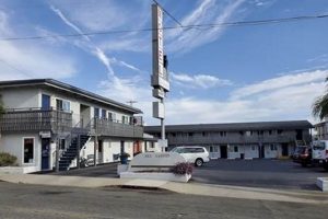 Sea Garden Motel Pismo Beach CA: Your Coastal Escape The Ultimate Gardening Guide: Grow a Thriving Garden Year-Round Sea Garden Motel Pismo Beach CA: Your Coastal Escape | The Ultimate Gardening Guide: Grow a Thriving Garden Year-Round