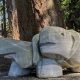 Explore Big Rock Garden Park Bellingham: A Natural Escape | The Ultimate Gardening Guide: Grow a Thriving Garden Year-Round