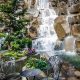 Seattle's Waterfall Garden Park: A Tranquil Escape! | The Ultimate Gardening Guide: Grow a Thriving Garden Year-Round