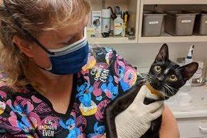 Your Guide: Humane Society Garden Grove CA - Pets &amp; Adoption | The Ultimate Gardening Guide: Grow a Thriving Garden Year-Round