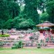 Visit Gene Strowd Rose Garden Park: A Floral Haven | The Ultimate Gardening Guide: Grow a Thriving Garden Year-Round