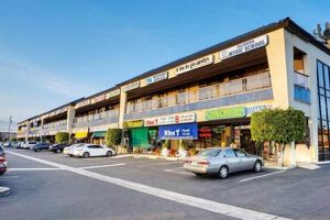 Visit Hoa Binh Garden Grove Supermarket CA: Authentic Groceries | The Ultimate Gardening Guide: Grow a Thriving Garden Year-Round