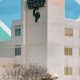 Best Garden Park Hospital: Healing Oasis Near You | The Ultimate Gardening Guide: Grow a Thriving Garden Year-Round