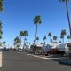 Your Palm Paradise: Palm Garden RV Park Homestead, FL! | The Ultimate Gardening Guide: Grow a Thriving Garden Year-Round
