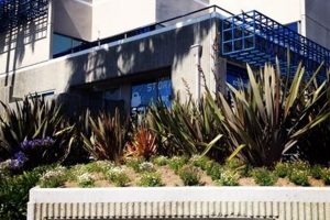 Best Garden Grove Secured Storage, CA: Find Units Now! The Ultimate Gardening Guide: Grow a Thriving Garden Year-Round Best Garden Grove Secured Storage, CA: Find Units Now! | The Ultimate Gardening Guide: Grow a Thriving Garden Year-Round