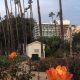 Visit Palisades Park Rose Garden: A Floral Paradise | The Ultimate Gardening Guide: Grow a Thriving Garden Year-Round