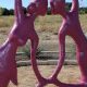 Visit Cedar Park Sculpture Garden: Art in the Park | The Ultimate Gardening Guide: Grow a Thriving Garden Year-Round
