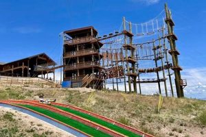 Unleash Adventure: Garden City's Thrilling Adventure Park Getaway The Ultimate Gardening Guide: Grow a Thriving Garden Year-Round Unleash Adventure: Garden City's Thrilling Adventure Park Getaway | The Ultimate Gardening Guide: Grow a Thriving Garden Year-Round