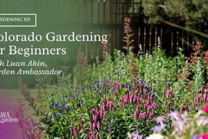 Discover South Garden Parker CO: Your Perfect Park Home | The Ultimate Gardening Guide: Grow a Thriving Garden Year-Round