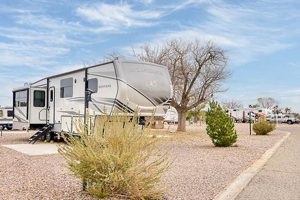 Garden Grove RV Park: Your [City] Camping Oasis | The Ultimate Gardening Guide: Grow a Thriving Garden Year-Round