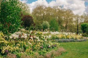 Discover Hyde Park Rose Garden: A London Oasis | The Ultimate Gardening Guide: Grow a Thriving Garden Year-Round