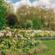 Discover Hyde Park Rose Garden: A London Oasis | The Ultimate Gardening Guide: Grow a Thriving Garden Year-Round