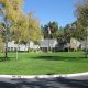 Living in Canoas Garden, San Jose CA: A Guide | The Ultimate Gardening Guide: Grow a Thriving Garden Year-Round