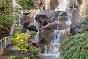 Seattle's UPS Waterfall Garden Park: A Hidden Oasis | The Ultimate Gardening Guide: Grow a Thriving Garden Year-Round