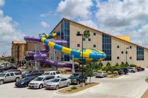 Your Guide to Garden City KS Water Park Fun! The Ultimate Gardening Guide: Grow a Thriving Garden Year-Round Your Guide to Garden City KS Water Park Fun! | The Ultimate Gardening Guide: Grow a Thriving Garden Year-Round