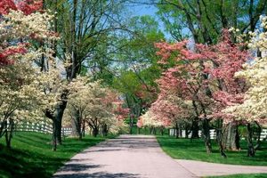 Visit Spring Garden Park: A Bloom-Filled Escape The Ultimate Gardening Guide: Grow a Thriving Garden Year-Round Visit Spring Garden Park: A Bloom-Filled Escape | The Ultimate Gardening Guide: Grow a Thriving Garden Year-Round